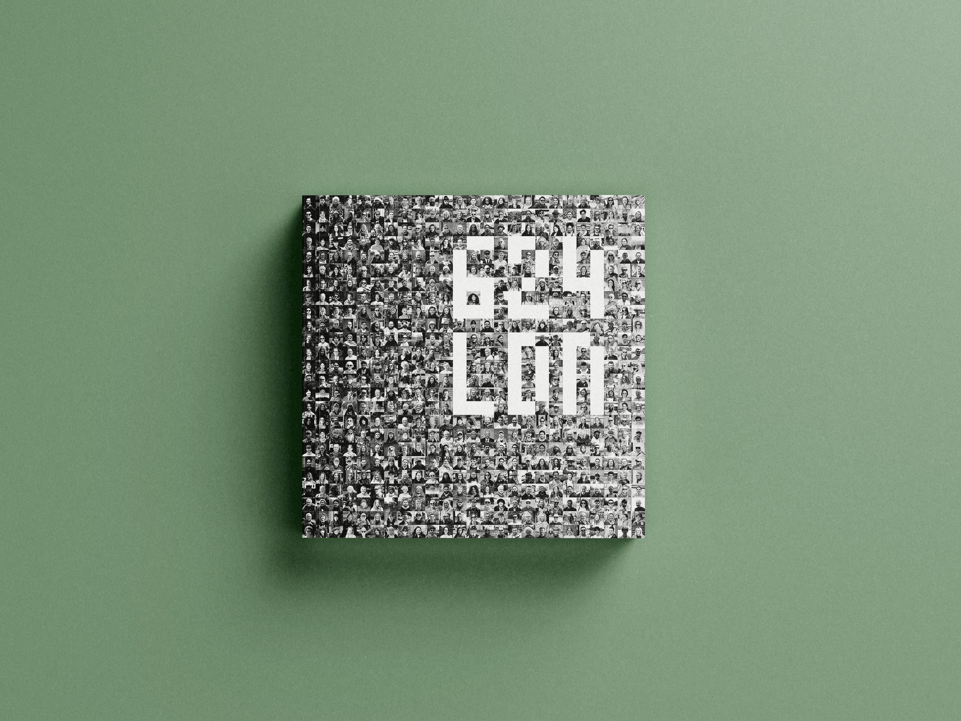 Square book with textured cover and white text on a green background